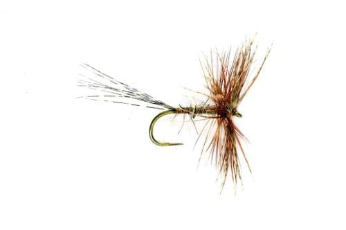 BL Jingler March Brown