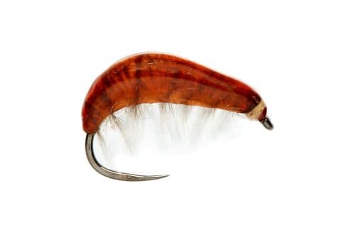 BL Juglaret's French Gammarus Brown