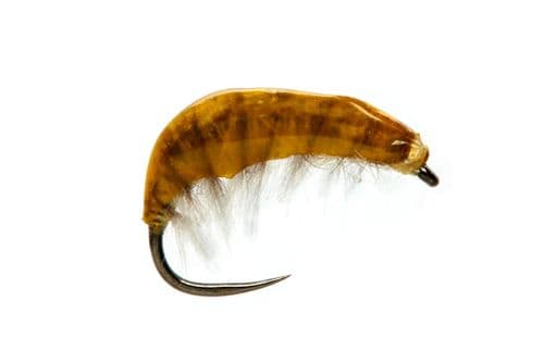 BL Juglaret's French Gammarus Orange