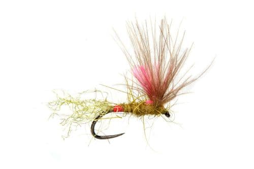BL Juglaret's Red Flash Mayfly Sub