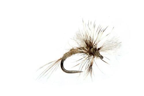 BL Lewis's Cripple Midge