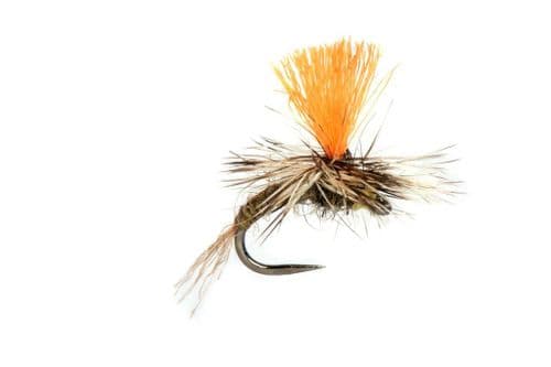 BL Lewis's Paradun Emerger