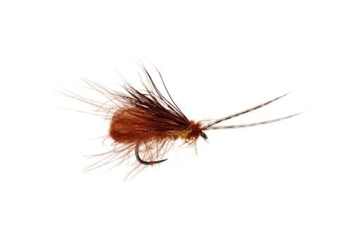 BL McPhail Bubble Wing Caddis Choc Drop