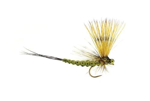 BL Mohican May Olive