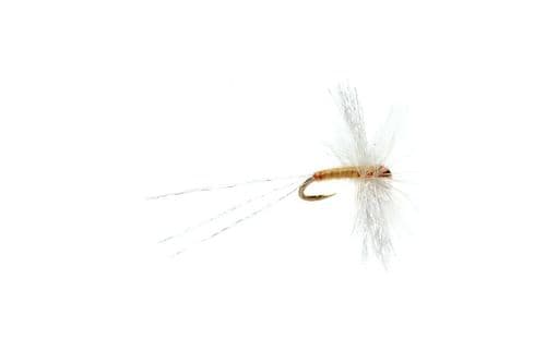 BL OE S/Circle Spin Pale Watery