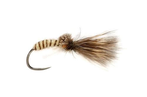 BL Procter's Caddis Emerger Cream
