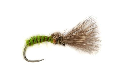 BL Procter's Emerger Caddis Green