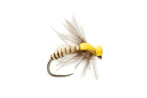 BL Procter's Spent Caddis Cream (Yellow)