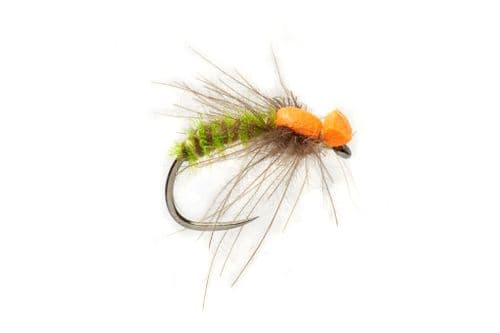 BL Procter's Spent Caddis Green (Orange)