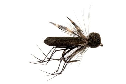 BL Rob's Booby Black Daddy