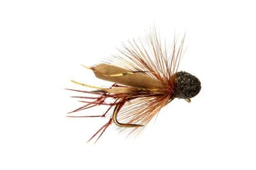 BL Rob's Booby Daddy