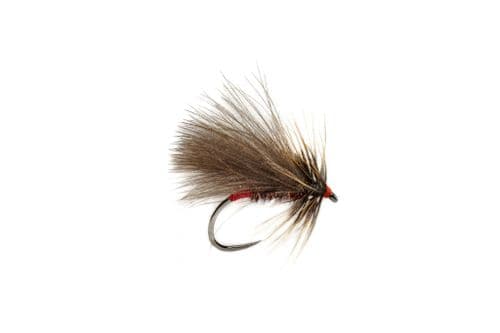 BL Roza Red Butt Caddis
