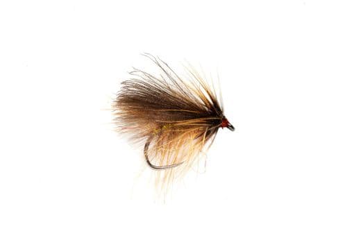 BL Roza's Spectra Caddis