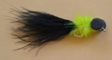 Black Cat Fritz Booby