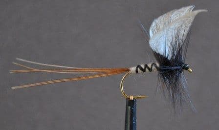 Black Drake Mayfly