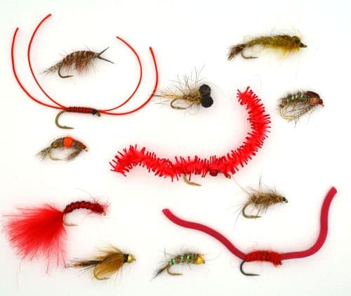 Bloodworms, Hoglice and Shrimps Selection