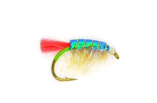 Blue Romy's Sand Shrimp