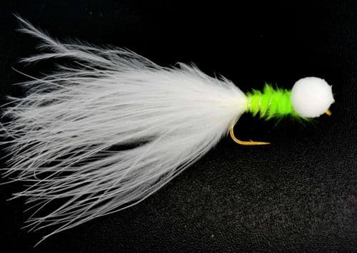 Cats Whisker Booby - OR