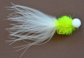 Cats Whisker Fritz Booby