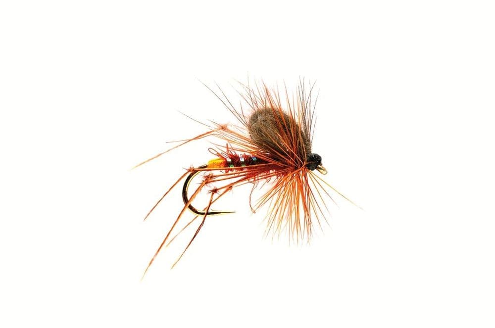 CDC Fiery Brown Hopper