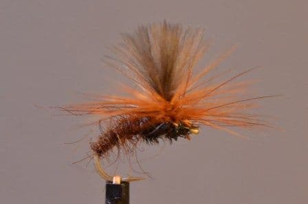 CDC Klinkhamer Brown