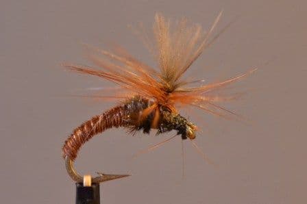 CDC Klinkhamer Special