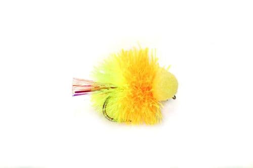 Cocktail Sunburst Booby Blob