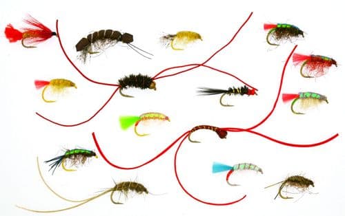 Colin Macleod's Mullet Masters