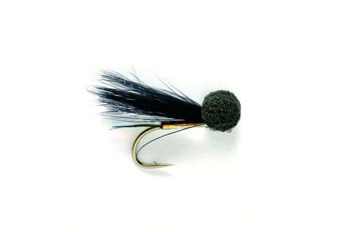 Cormorant Traffic Light Booby