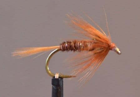 Cruncher Brown