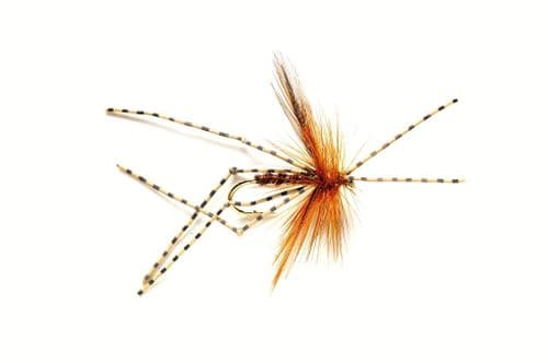 Daddy X-Factor Natural