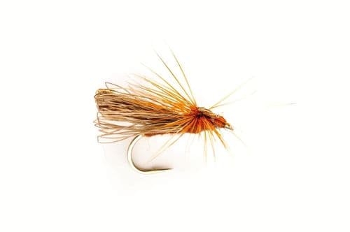 Davys Brown Sedge