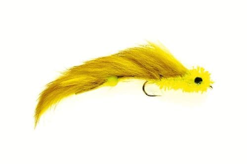 Dumbell Eye Hot Tail Olive