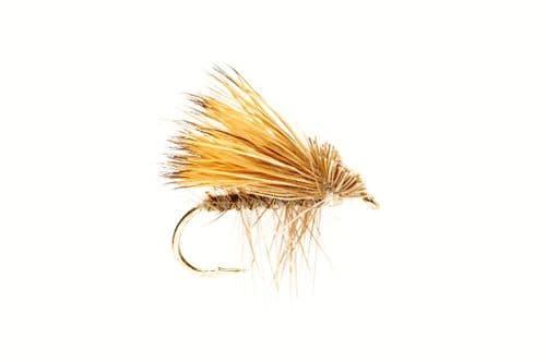 Elk Wing Grey Sedge