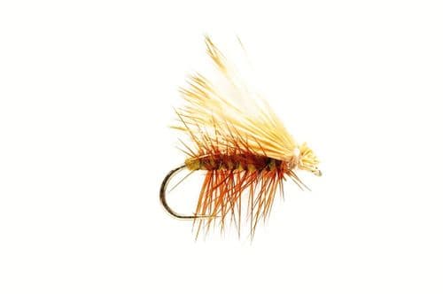 Elk Wing Olive Sedge