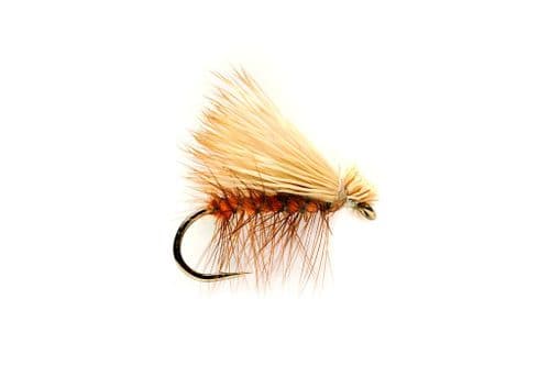 Elk Wing Orange Sedge