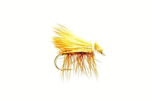 Elk Wing Tan Sedge