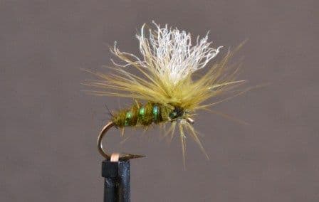 Emerger Olive
