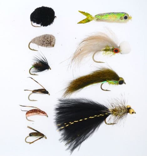 Fish the Weedbeds Selection