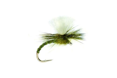 Flexi Olive Klinkhamer