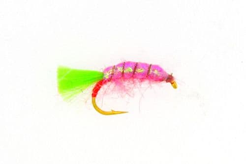 Flo Pink Shrimp