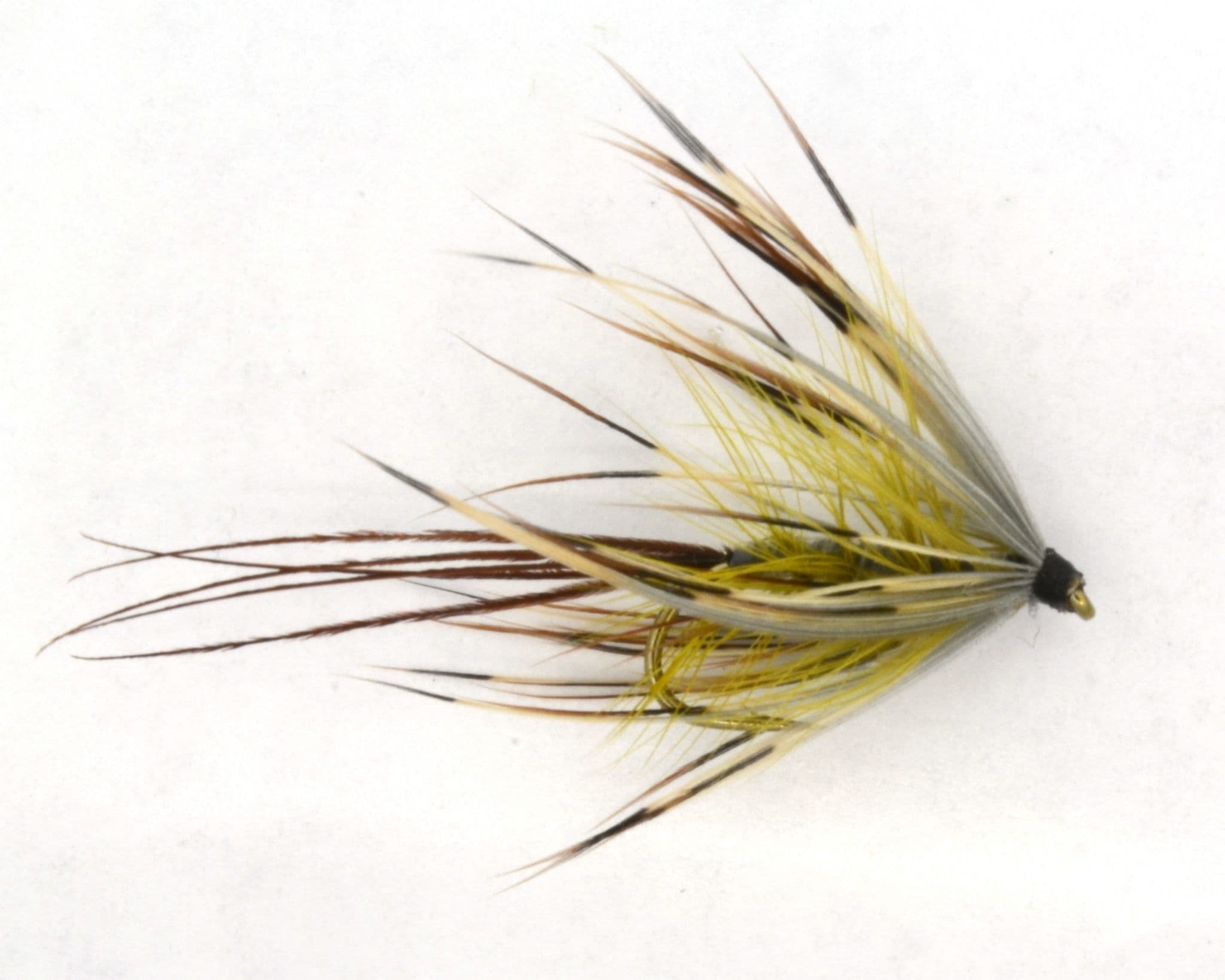 French Partridge Mayfly