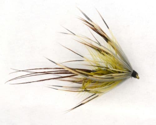 French Partridge Mayfly