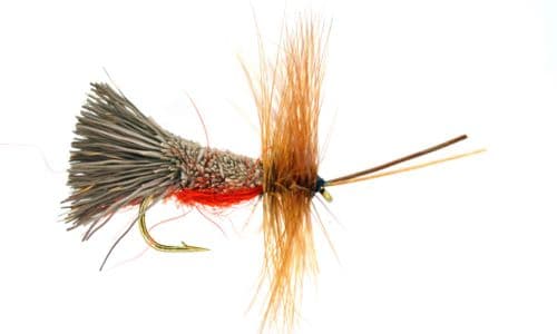 G & H Sedge Orange - OR