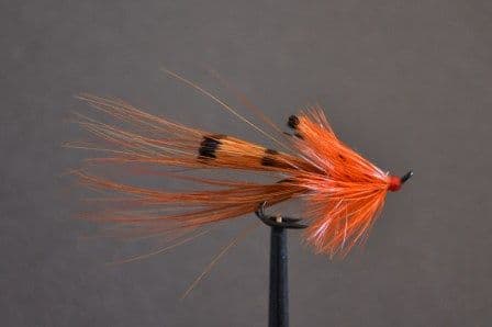 General Practitioner - PR