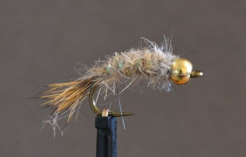 GH Gold Ribbed Hares Ear