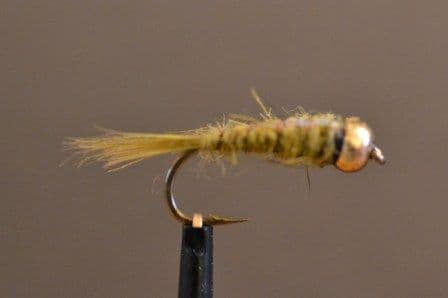 Goldhead Olive Flashback