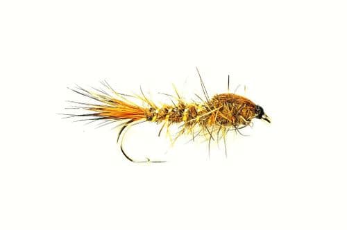 GRHE Nymph Weighted