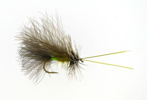 Grizzly Sedge