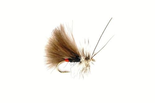High Rider CDC Black Sedge